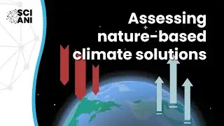 How effective are nature-based solutions at tackling climate change?