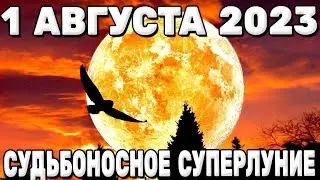 СУДЬБОНОСНОЕ СУПЕРЛУНИЕ 1 августа 2023 года! Карина Таро @karina taro