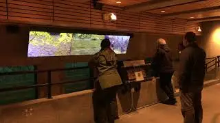 Locks fish ladder viewing gallery renovations Dec 2020