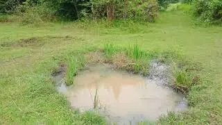 Berpetualang Ranting Ranting Buat Hiasan Dekorasi....!!!