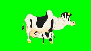 cow and kid animation green screen