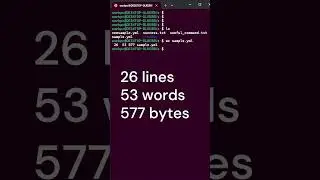 Day 12 | wc Linux Command #linux #linuxcommandline #linuxforbeginners #coding #shell #shorts