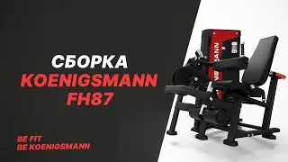 СГИБАНИЕ РАЗГИБАНИЕ НОГ СИДЯ KOENIGSMANN FH87 / СИЛОВОЕ ОБОРУДОВАНИЕ / ДЛЯ СПОРТА