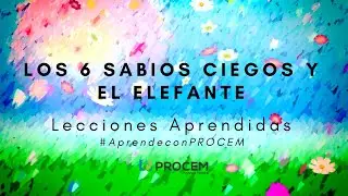 Los 6 sabios ciegos y el elefante - Lecciones de Trabajo