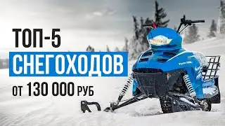 ТОП-5 Российских снегоходов от 130 000 рублей. Какой снегоход выбрать? Лучшие для русской зимы.