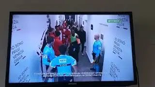 2950 IPTV бесплатно 1
