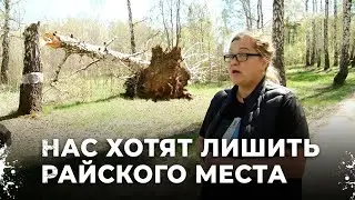 Жителей Балтыма хотят лишить райского уголка. Конфликт с застройщиками