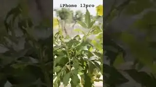 Iphone 13pro vs galaxy s22 ultra high quality video test#s22ultra #shorts #trending #viral #iphone13