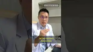 Sel Telur Kecil Karena Stress | dr. Erfenes Ho, Sp.OG