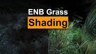 Skyrim Special Edition ENB v0.473 Grass Shading Improvement