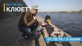 ЧТО НА ЧТО клюет? Серия 18