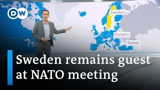 What is the status of Swedens NATO bid? | DW News