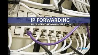 Linux IP forwarding – How to Disable/Enable using net.ipv4.ip_forward