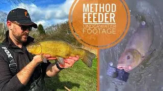 Spring Method Feeder Fishing | Underwater Footage | Success or Fail ?!