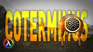 A NEW Half-Life 2 Beta Mod RELEASED! - Coterminus 1.0