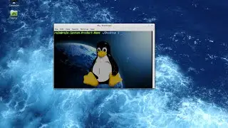 How to customize the Terminal in Linux mint