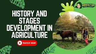 The History and Stages Development in Agriculture