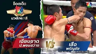 เฉียบขาด ป.พงษ์สว่าง vs เสือ พรัญชัย | ช็อตเด็ดแม่ไม้มวยไทย 7 สี