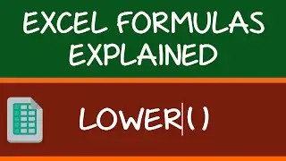 LOWER Formula in Excel