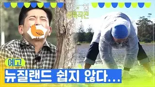 [예고] 떨어지고 나뒹굴고... 쉽지 않은 뉴질랜드의 대자연😂 [팝업상륙작전] | KBS 방송