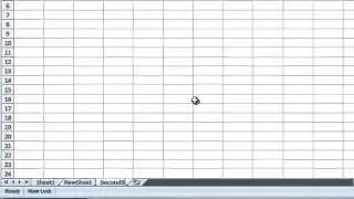 Excel 2007 - Renaming a Worksheet