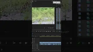 Show duplicate clips on timeline in Premiere Pro #videoeditingtips #adobepremierepro