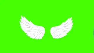 Wings effect for montage || copyright free || BenNp