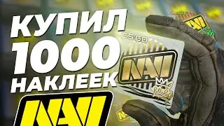 КУПИЛ 1000 СТИКЕРОВ NAVI / Инвестиция в одну тысячу самых дешёвых наклеек ксго команды НАВИ RMR 2020