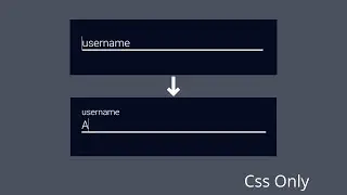 Input Animations Using HTML and CSS | CodeWithSanjoy