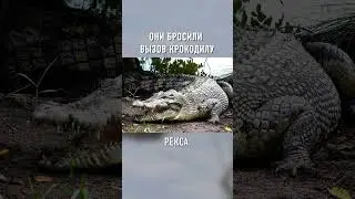 История О Спасении От КРОВОЖАДНОГО Гиганта 