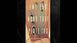 EMT 140 TUBE MONO PLATE REVERB IRS! DEMO OFF ON