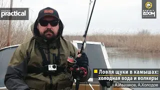 Ловля щуки в камышах: холодная вода и волкеры. А. Ивашков, А. Холодов. Anglers Practical