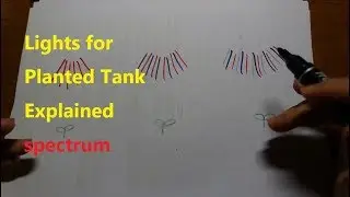 Light for planted aquarium guide part 2, spectrum