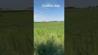 Cavallino,Italy