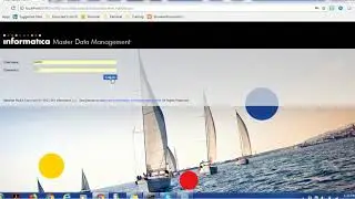 Informatica MDM Tutorial  - How to Manually Merge record in IDD and MDM hub