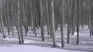 ADVANCED SNOWBOARD LESSON NO FALL SNOWBOARDING ASPEN POWDER