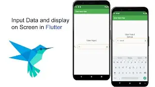 How to input Data in Flutter (Arabic) - كيفية ادخال بيانات في فلاتر