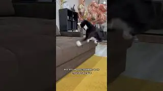 БАРИК РАЗУЧИЛСЯ ДЕЛАТЬ ДВОЙНЫЕ ПРЫЖКИ? 