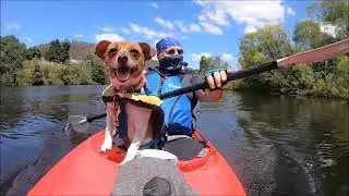 Kayaking DERWENT RIVER TRIP 645 9 /1 /23