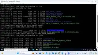 Installing the SAP  HANA Database 2.0 SPS07 REV 77