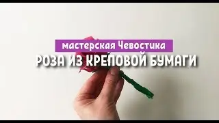 #Мастерская Чевостика: Роза из креповой бумаги.