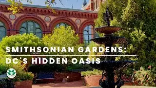 Inside The Smithsonian Gardens In Washington DC