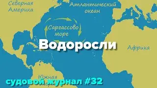 Подарки от Саргассова моря