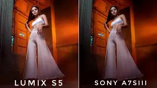 Panasonic Lumix S5 VS Sony A7S III CAMERA COMPARISON | Sony A7S III