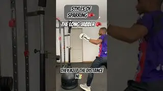 STYLES OF SPARRING