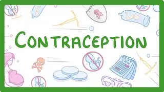 GCSE Biology - Contraception  #61