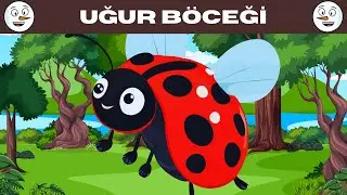 Ladybug Tale | Dolby Fairy Tale Corner