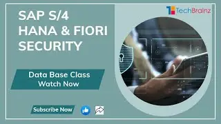 SAP S/4 HANA Database and Fiori Security