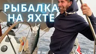 Fishing on a yacht in the Canary Islands! / Jorge caught a big tuna!