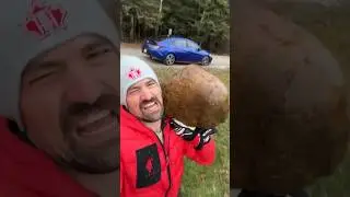 A rock is perfect for checking if the pond is frozen